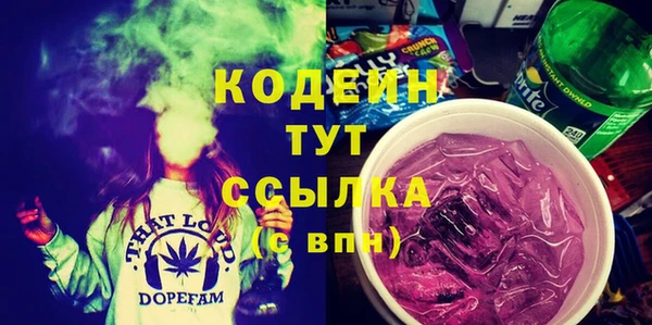 сатива Иннополис