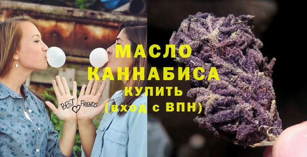 метадон Инта