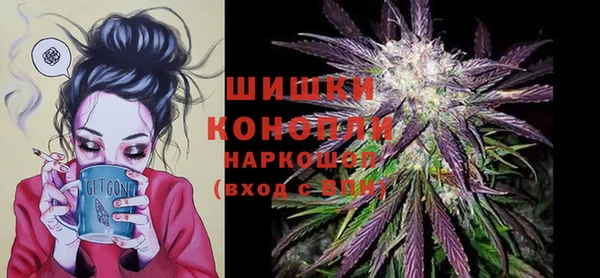 мдпв Зеленодольск