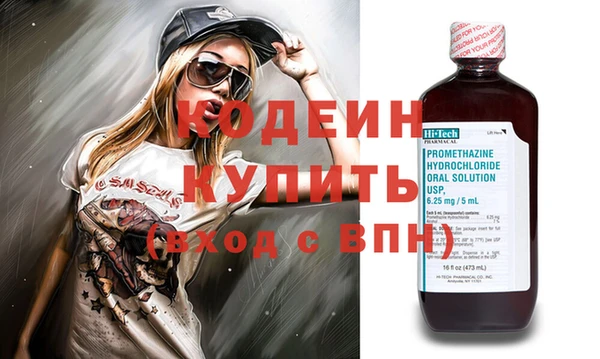 сатива Иннополис