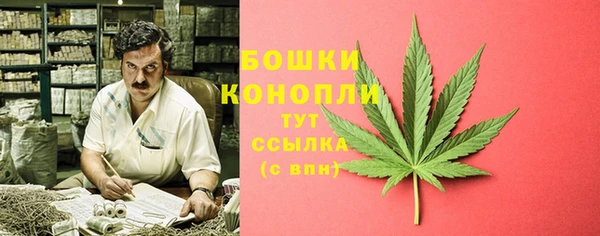 сатива Иннополис